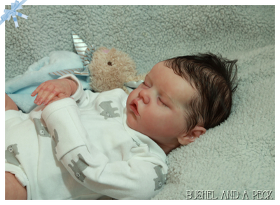 reborn twin b